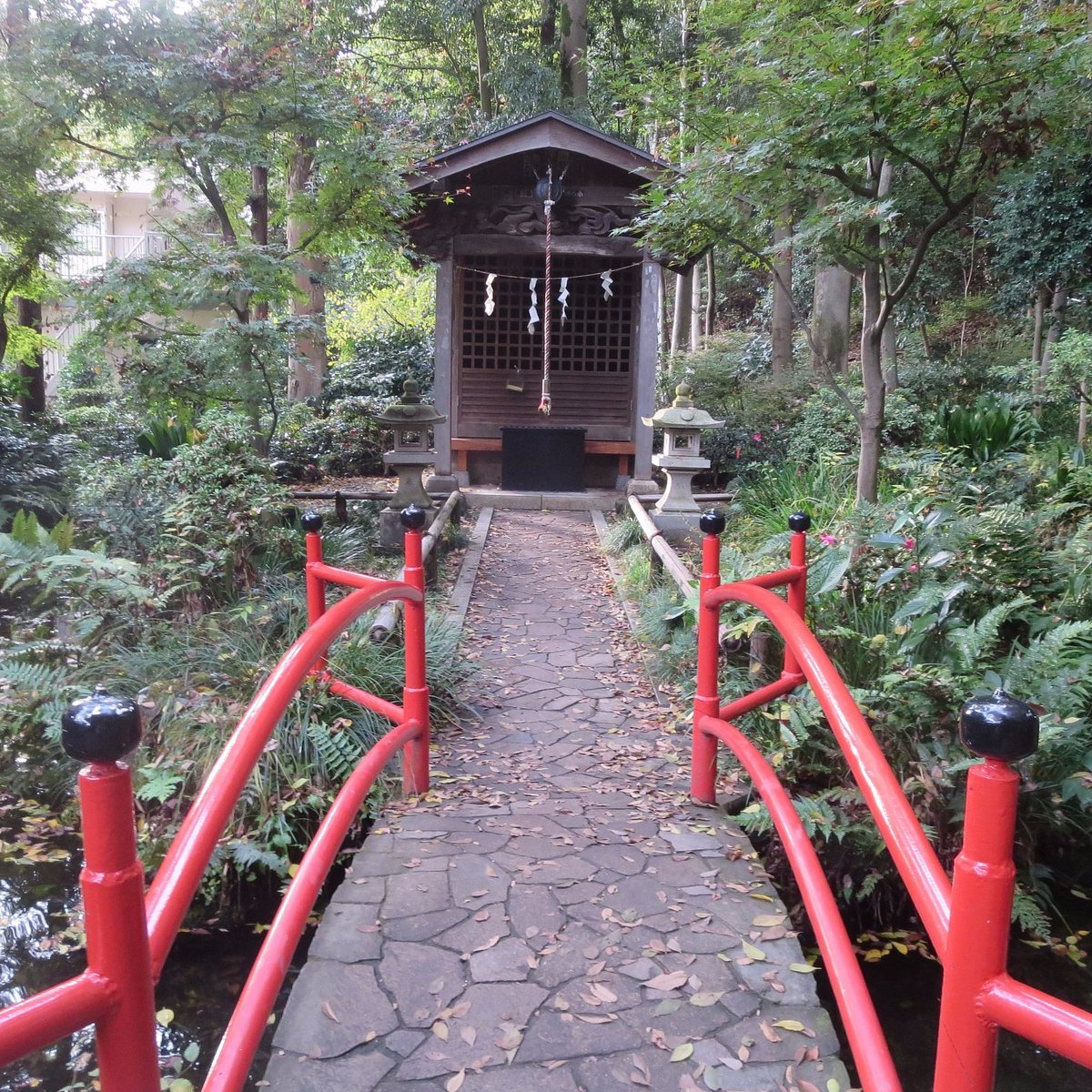 🏞️ 오타카노미치·마스가타노이케 용수군 이미지 7